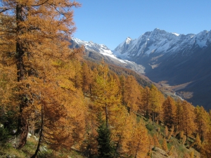 Lötschenlücke Sattelhorn et Schinhorn