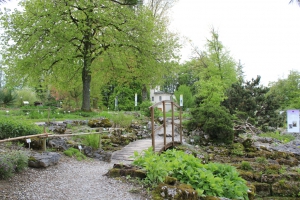 Jardin botanique de Fribourg