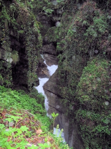 Gorge profonde et végétation