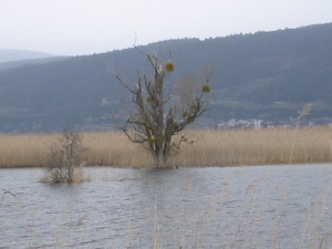 Vue vers le nord lors de la crue d'avril 2006