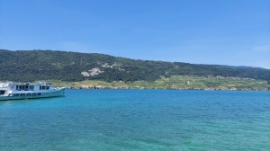 Le lac de Bienne et les vignobles en face de l'Île St-Pierre