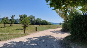 Chemin faisant le tour de l'île