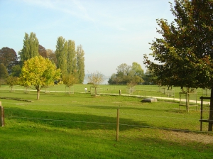 La vue depuis l'auberge