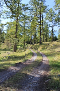 Première partie du Sentier des Mines