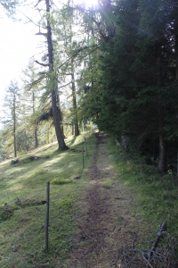 Sentier longeant la forêt où nous avons vu des écureuils