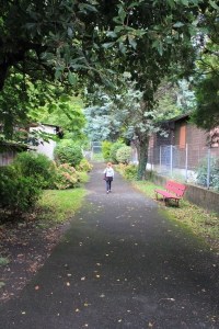 Début du sentier