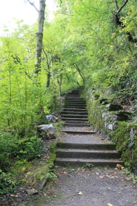 Les premières marches d'escalier