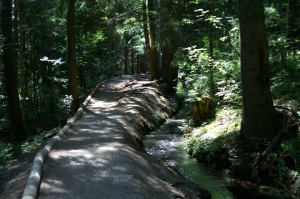 Le long du bisse