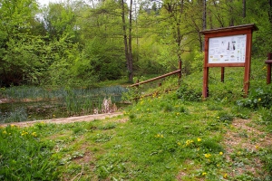 Etang & biodiversité