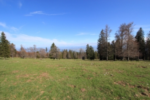 Au fond, les trois lacs (Neuchâtel, Bienne et Morat)