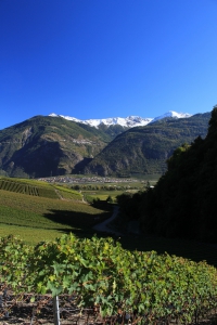 Vue depuis le chemin viticole, juste à côté de la source