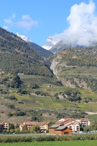 Saillon (les Bains) et au fond la Passerelle à Farinet