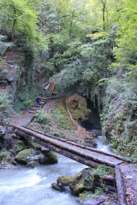 Petit pont enjambant la Salentse