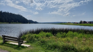 Quelques bancs se trouvent sur les rives du lac des Taillères