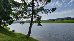 Le lac des Taillères