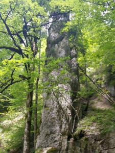 Falaise rocheuse