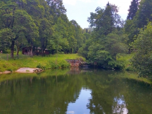 Petit étang, au départ du sentier