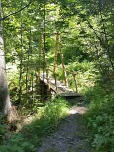 Passerelle en bois