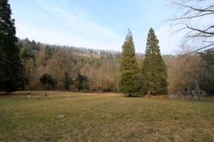 Le Pré des Clées, de magnifiques arbres et la place de pique-nique