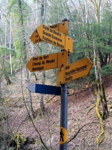 Après le Pont des Clées, suivre 