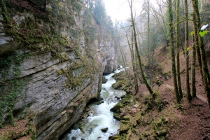 Sur la droite, le chemin remontant le cours d'eau