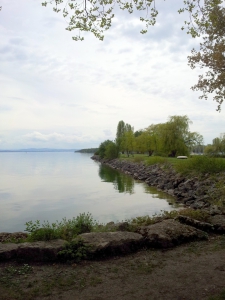 Le bord du lac