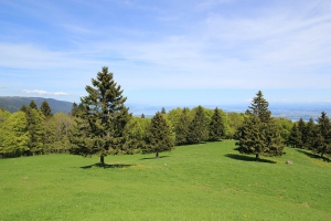 Depuis le Mont Aubert, la vue est magnifique