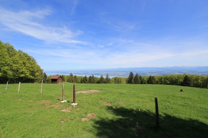 Vue depuis la terrasse du restaurant d'alpage