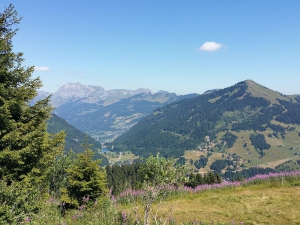 Vue sur le Pas-de-Morgins et le Bec du Corbeau