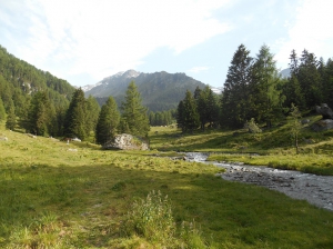 Sentier pieds-nus Siviez 2