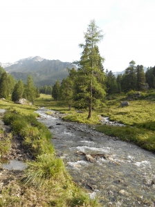 Sentier pieds-nus Siviez 5