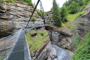 Passerelle dans les Gorges de la Dala