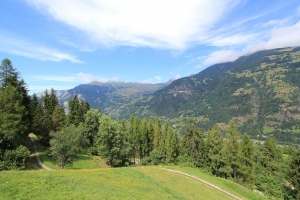 Vue depuis la place de pique-nique