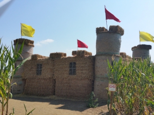 Le château de paille