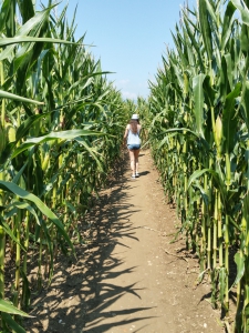 Labyrinthe de maïs