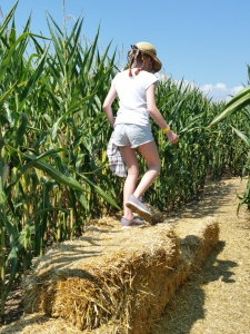 Quelques obstacles à escalader pour les plus jeunes