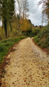 Le début de parcours