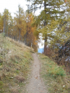 Passage le plus étroit mais assez large pour poussette