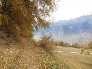 Tour des Crêtes vue