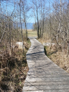 Le long du sentier-nature