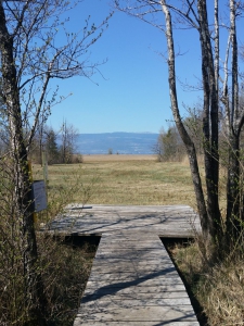 Vue sur le Jura