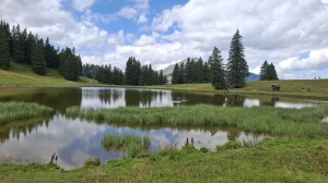 Le lac de Conche