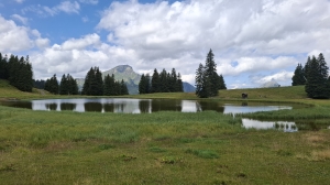 Le lac de Conche