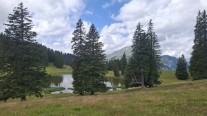Le lac de Conche