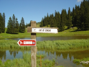 Le lac de Conche