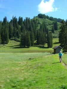 Vue depuis la rive du lac