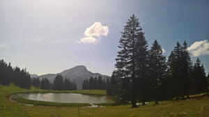 L'arrivée au lac