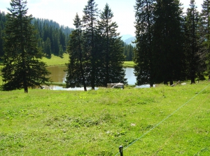 L'arrivée sur le lac