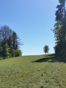 Le long du sentier évitant le stand de tir