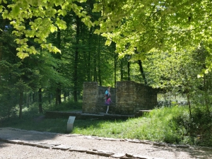 Reste de murs d'un temple